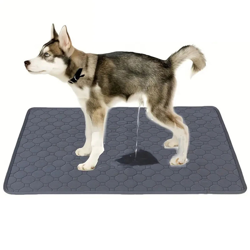 Tapis hygiénique réutilisable pour animaux de compagnie – Absorbant et imperméable