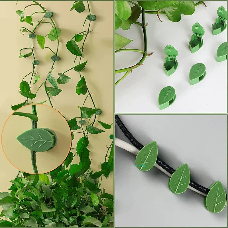 Clipes para Plantas Trepadeiras Autoadesivos | Invisíveis | Formato de Folha | Jardim e Casa | Kit c/ 10 a 50 Unidades