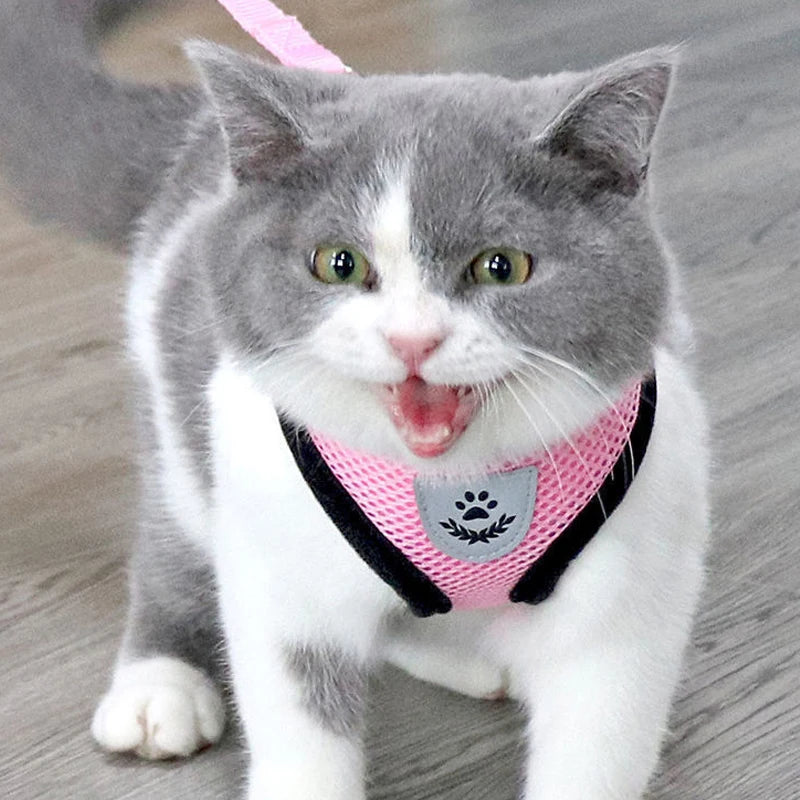 Arnês Ajustável com Guia para Cães e Gatos – Conforto e Segurança