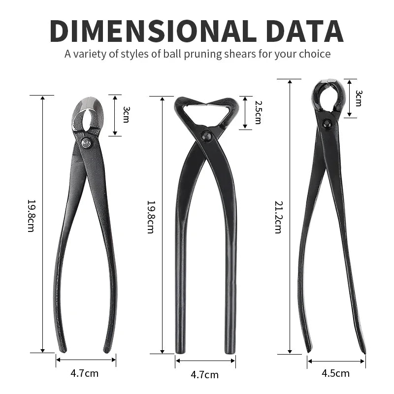 Ciseaux à bonsaï professionnels en acier au carbone | Outil d'élagage précis | Coupe nette | Jardinage et aménagement paysager