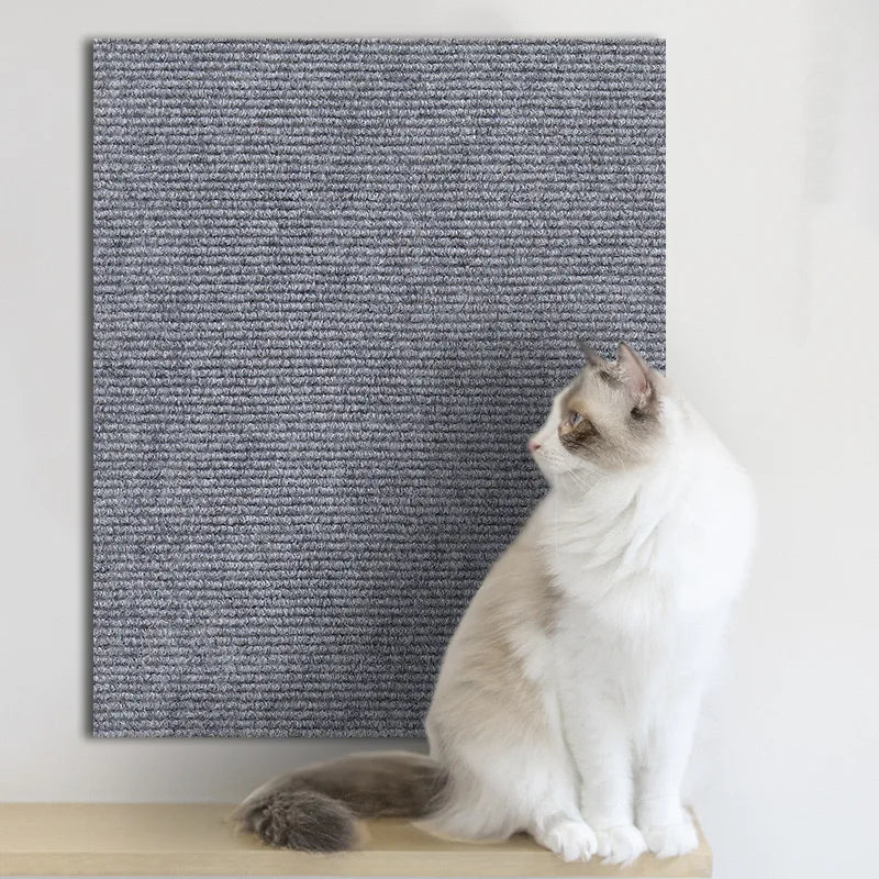 Autocollant anti-rayures pour chat – Autocollant pour canapé et mur | Découpable, renforcé par des clous