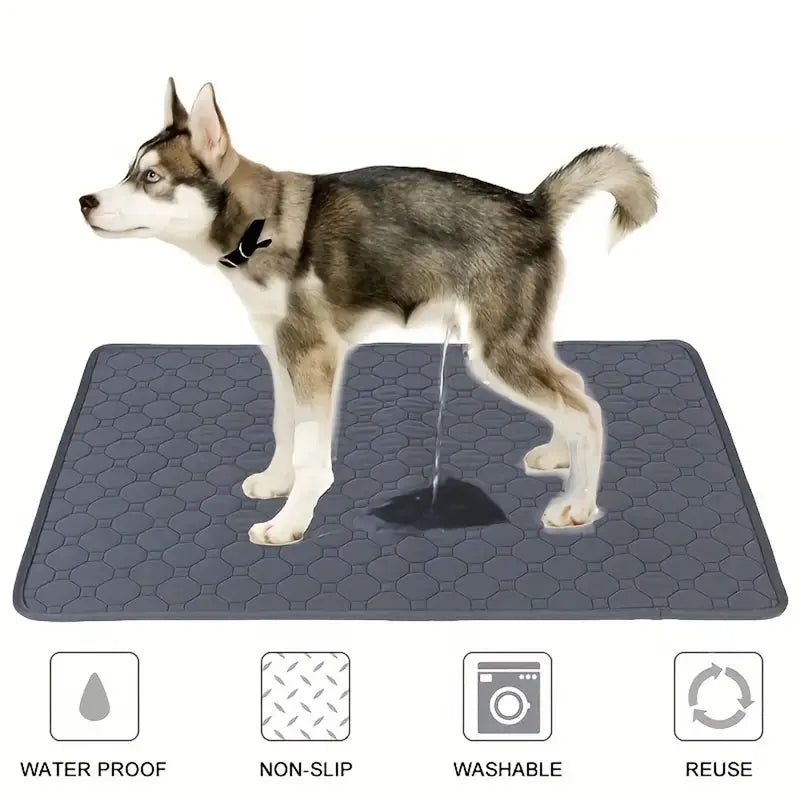 Tapis hygiénique réutilisable pour animaux de compagnie – Absorbant et imperméable