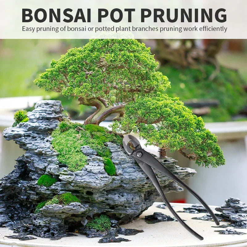 Ciseaux à bonsaï professionnels en acier au carbone | Outil d'élagage précis | Coupe nette | Jardinage et aménagement paysager