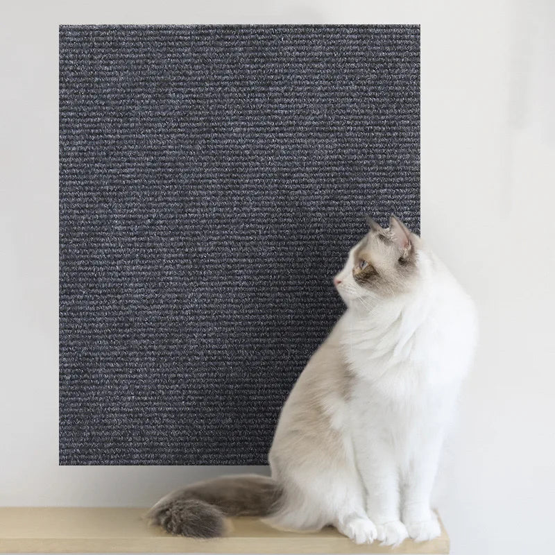 Autocollant anti-rayures pour chat – Autocollant pour canapé et mur | Découpable, renforcé par des clous