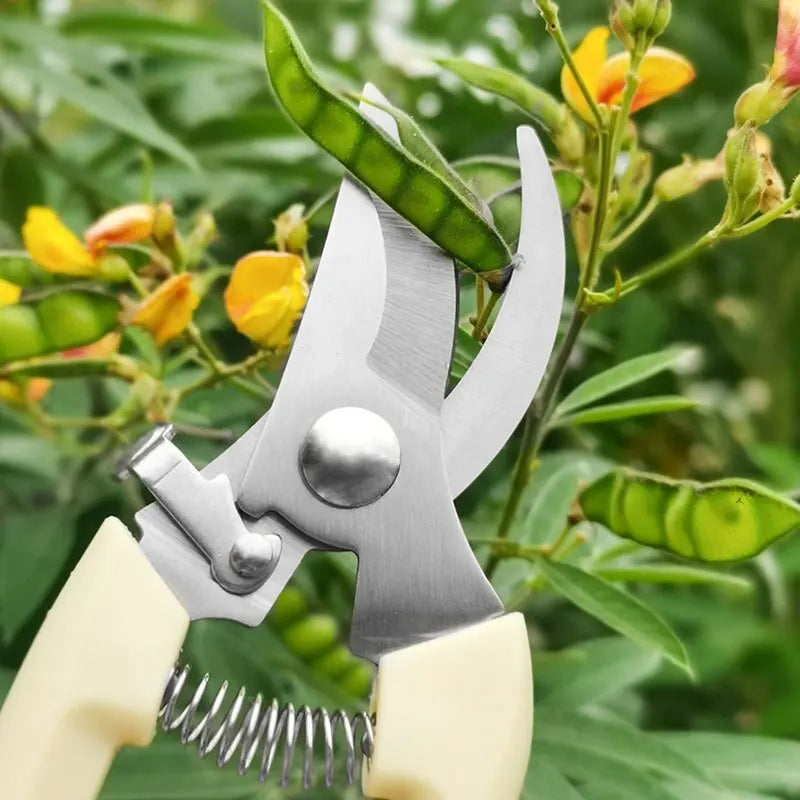 Ciseaux à fleurs en acier inoxydable | Coupe précise | Tête droite ou coude | Jardin, Fleurs, Greffe | Confort ergonomique 