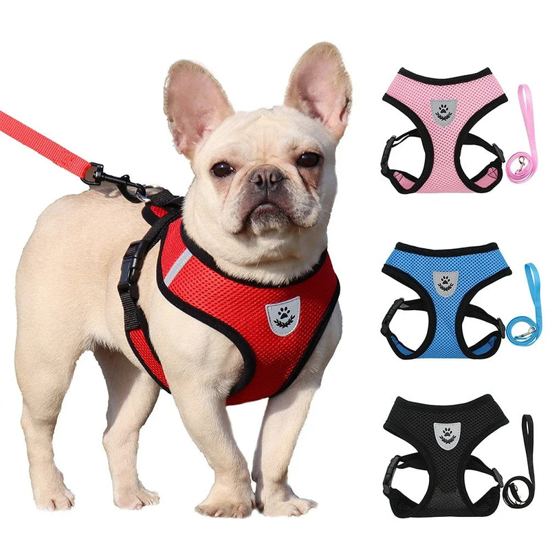 Arnês Ajustável com Guia para Cães e Gatos – Conforto e Segurança