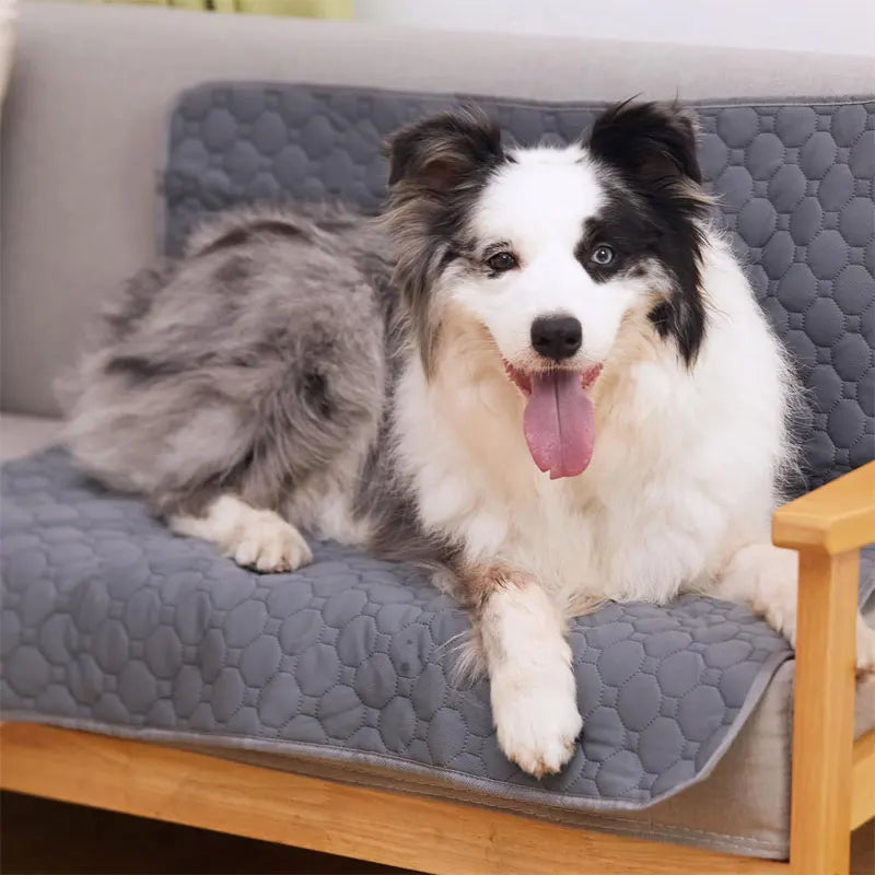Tapis hygiénique réutilisable pour animaux de compagnie – Absorbant et imperméable