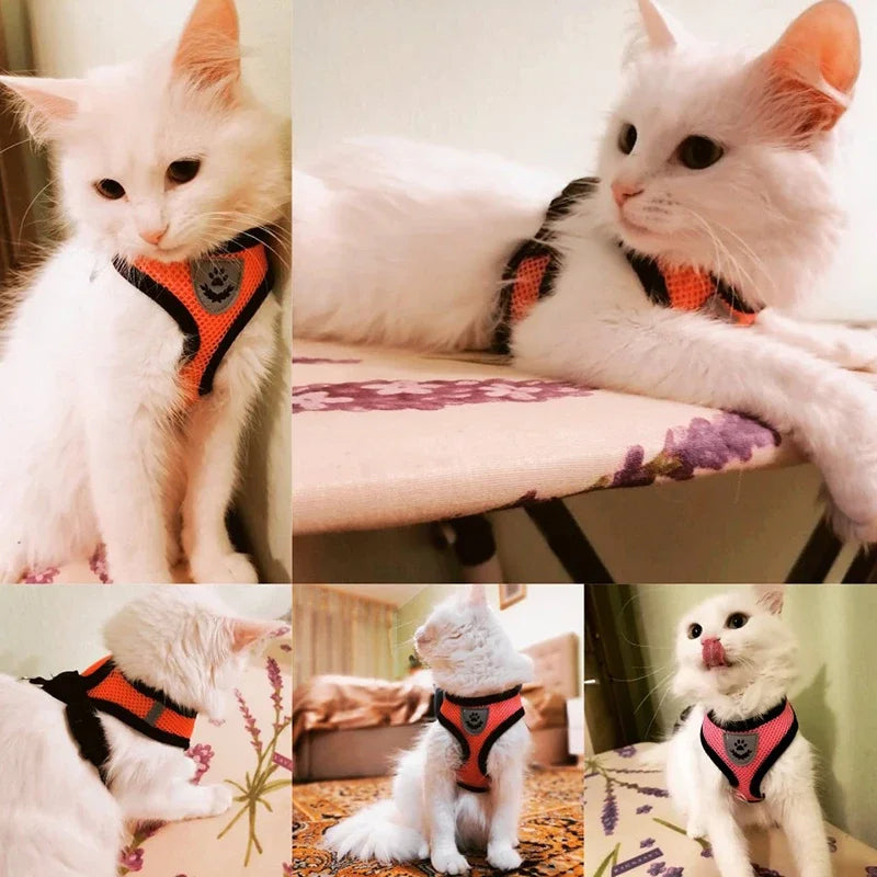 Arnês Ajustável com Guia para Cães e Gatos – Conforto e Segurança